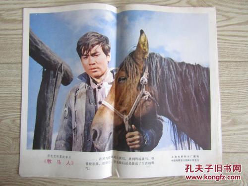 葡萄牙驾驶证怎么仿制